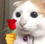 Red Ribbon